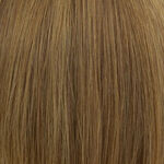 Gallery_6-8-10-12-14h