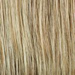 Gallery_per003739-33708