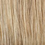 Gallery_HAI001266-55985