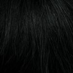 Gallery_HAI000266-36560