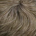 Gallery_Hai001589-68887