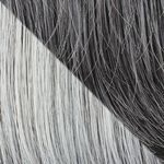 Gallery_HAI000360-29312