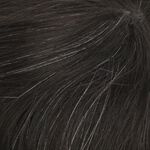 Gallery_Hai000932-47010